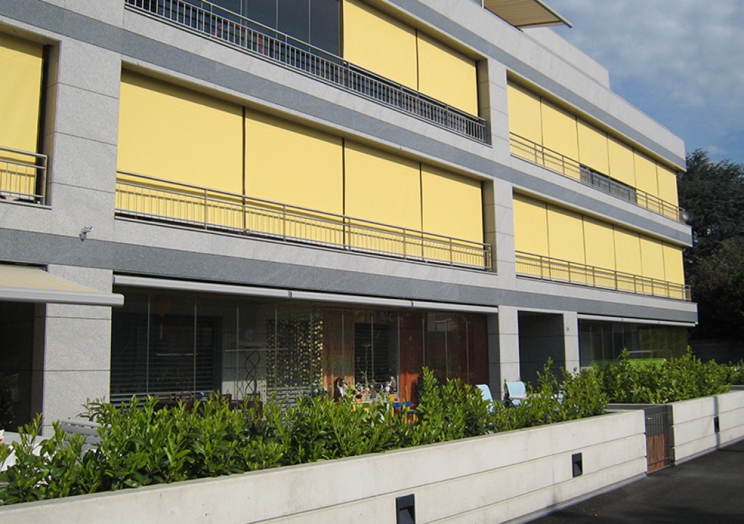 SEMAILLES – Grand-Lancy