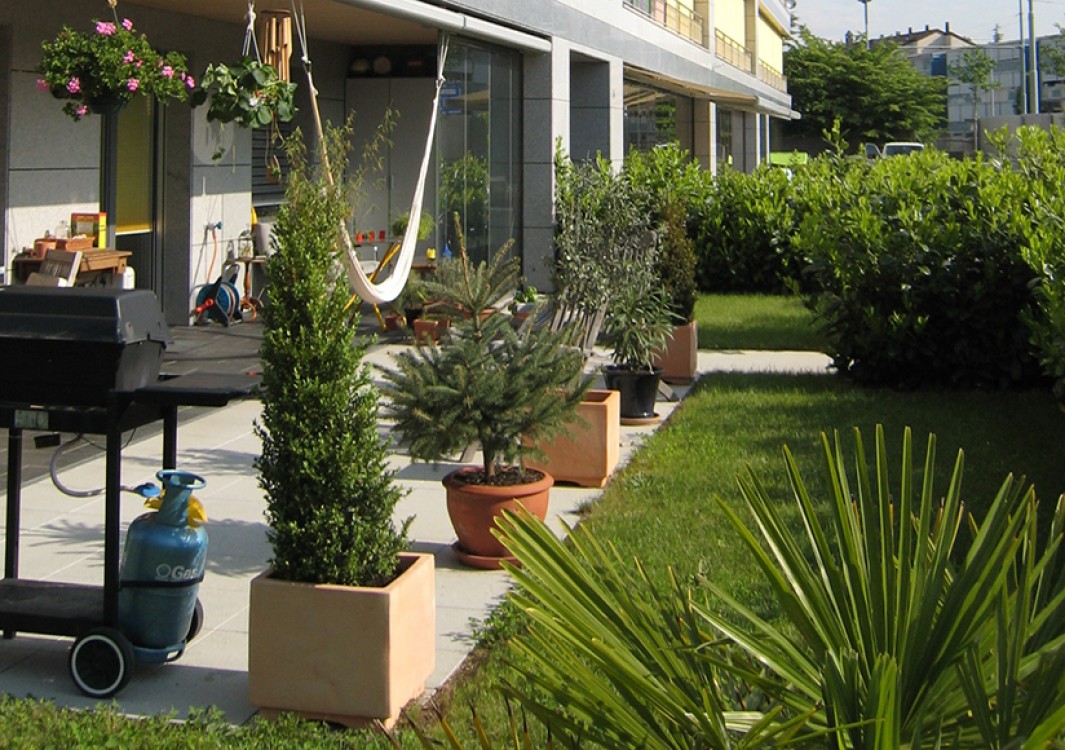 SEMAILLES – Grand-Lancy