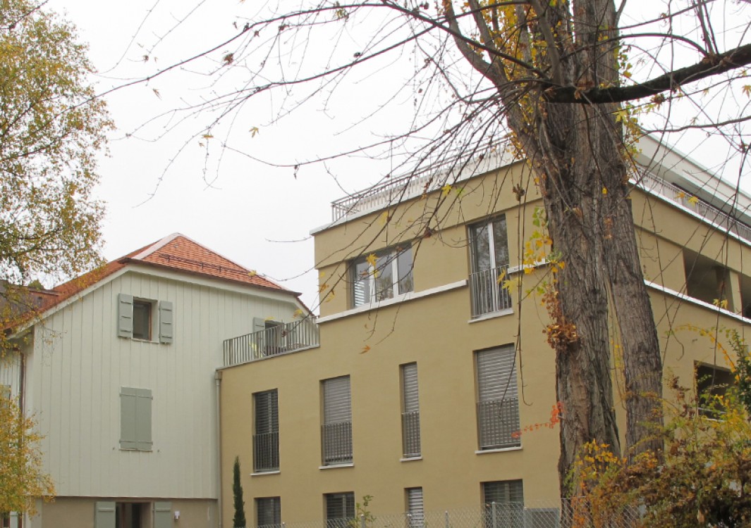 FRANK-THOMAS – Cologny