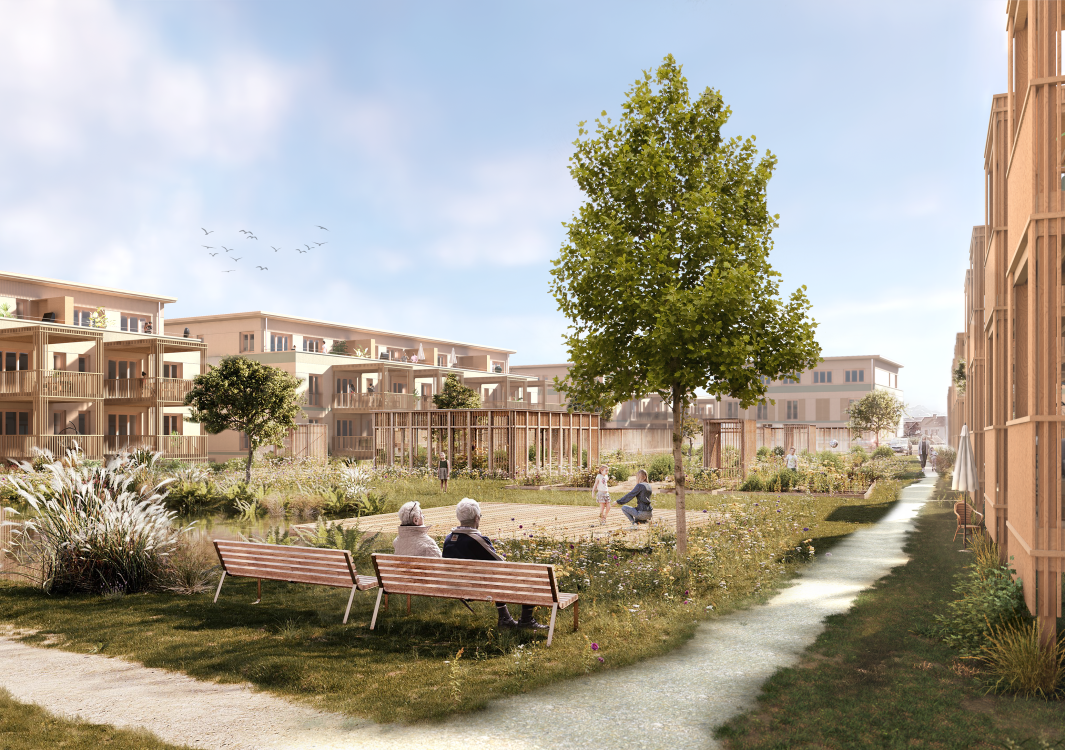 Luxburgerfeld – Egnach