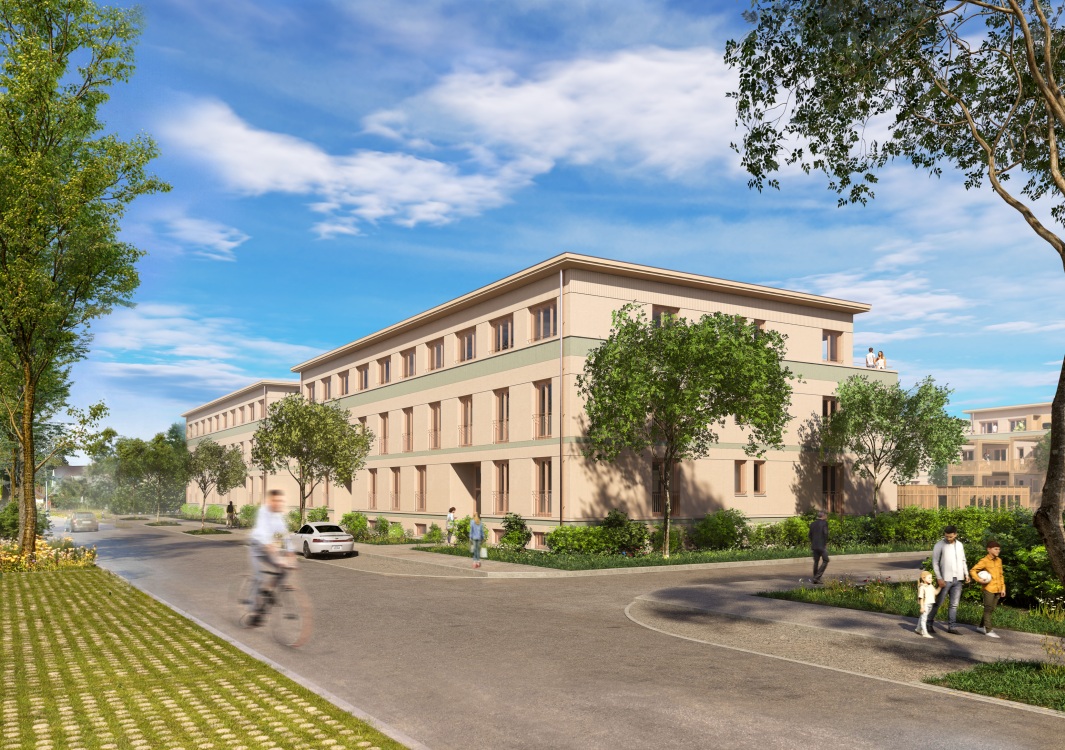 Luxburgerfeld – Egnach