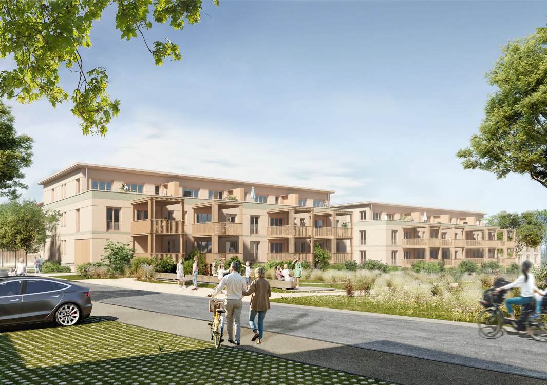 Luxburgerfeld – Egnach