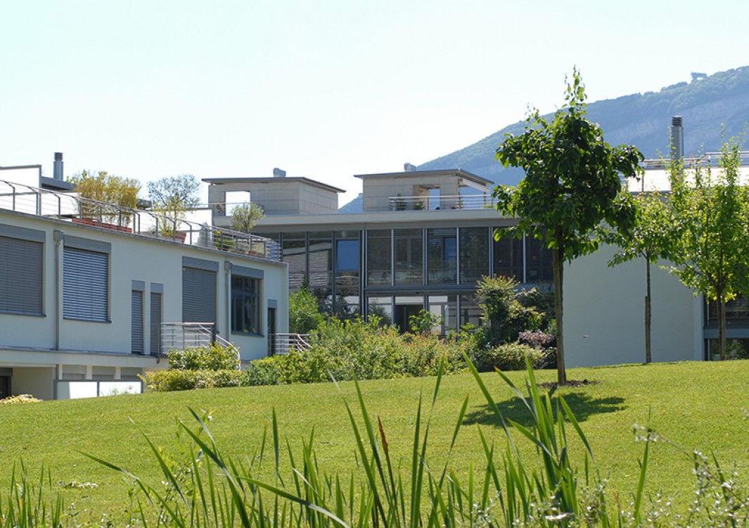 LOFTS DE DRIZE – Troinex