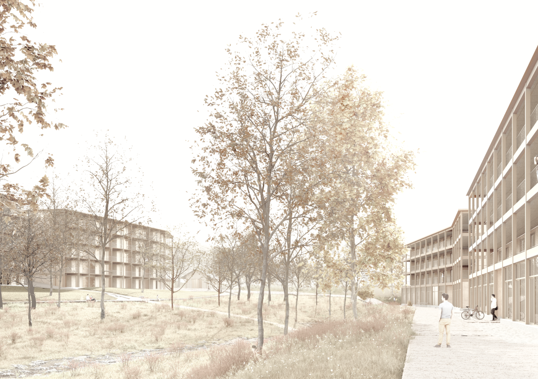 Griggrain – Düdingen